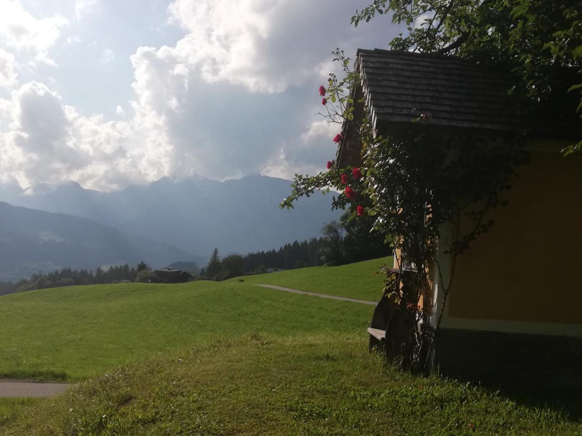 Appartement Steinerhof Werfenweng Bagian luar foto
