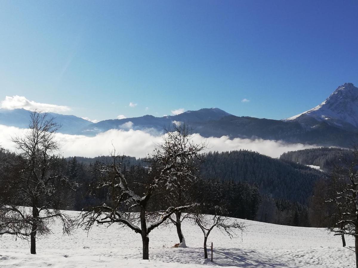 Appartement Steinerhof Werfenweng Bagian luar foto