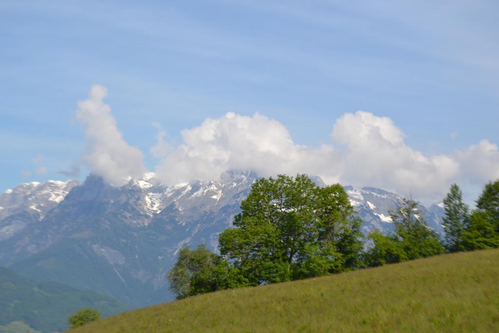 Appartement Steinerhof Werfenweng Bagian luar foto