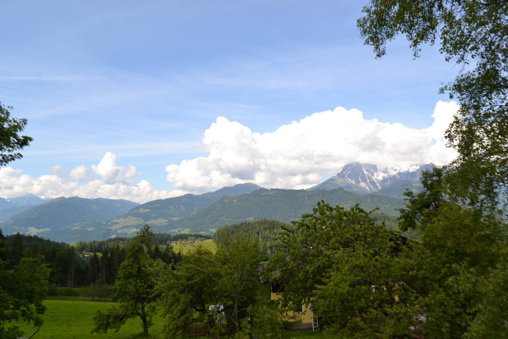 Appartement Steinerhof Werfenweng Bagian luar foto